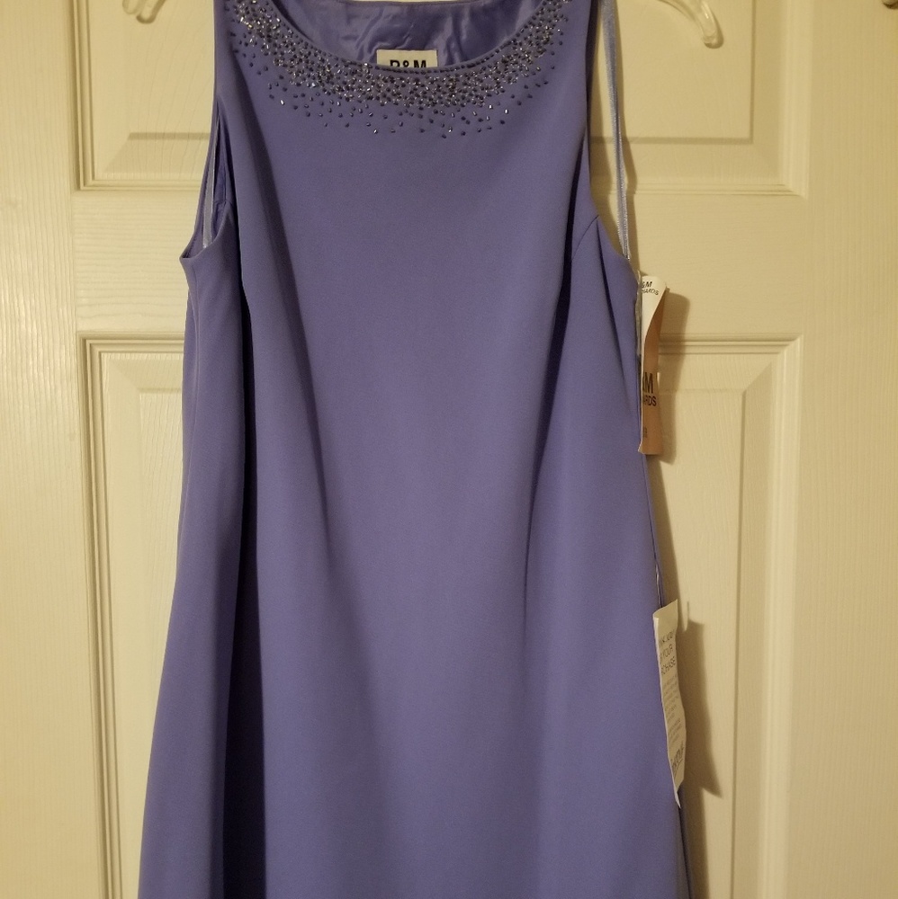 R & M Richard Ladies Dress Petite